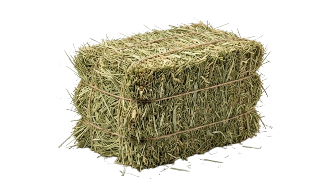Hay bale